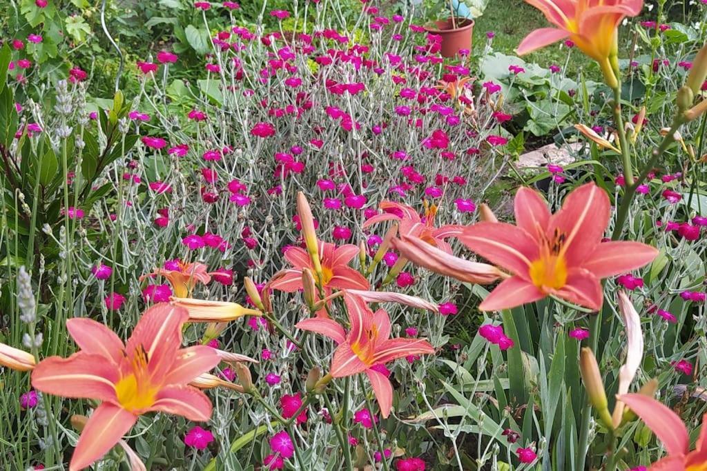 Gite Les Lilas La Genevraye Экстерьер фото